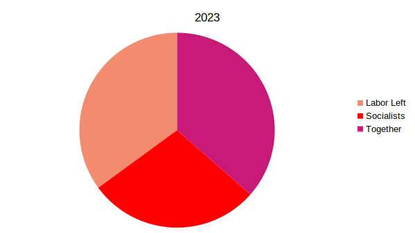 2023 MSA election results